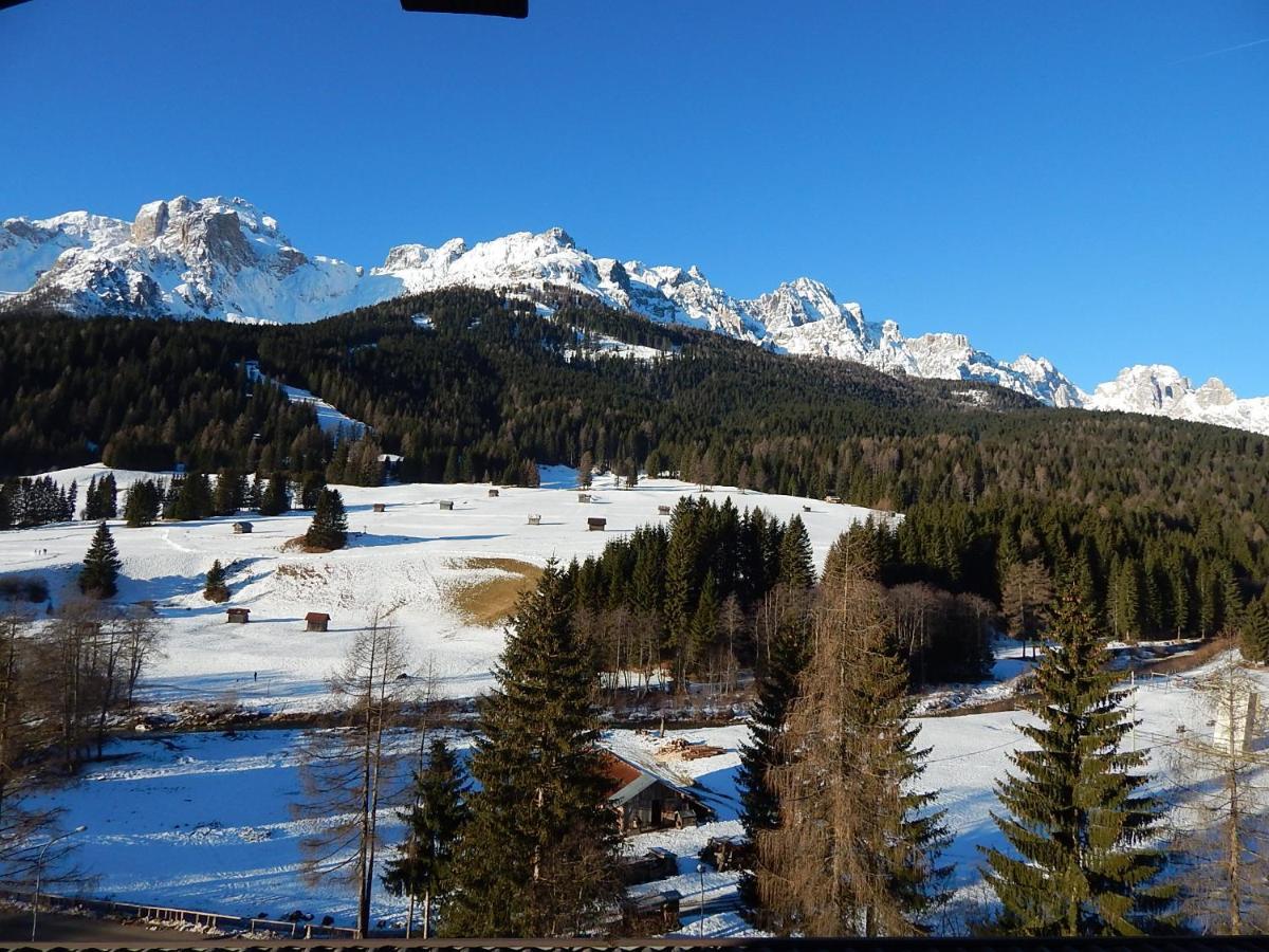 La Pineta