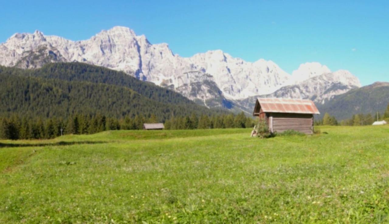 La Pineta Padola