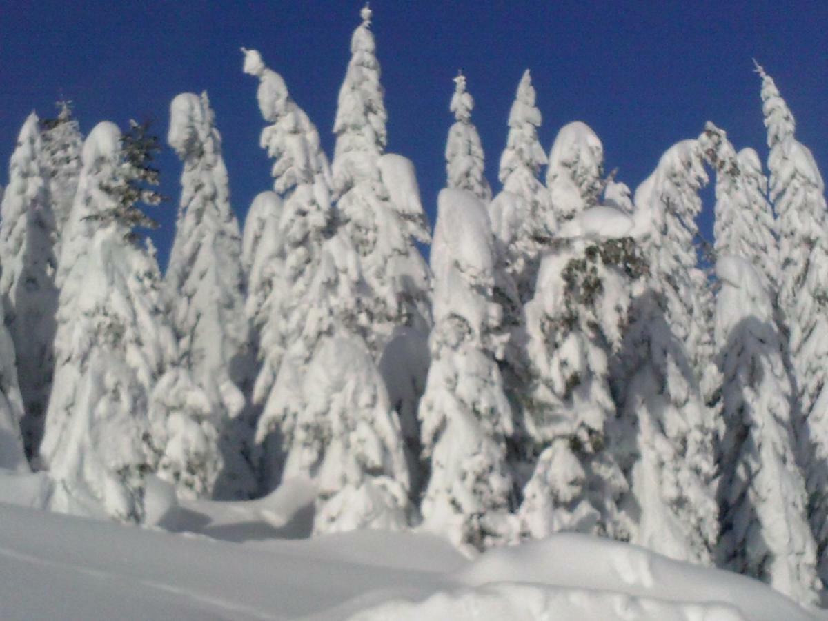 Gasthof La Pineta *